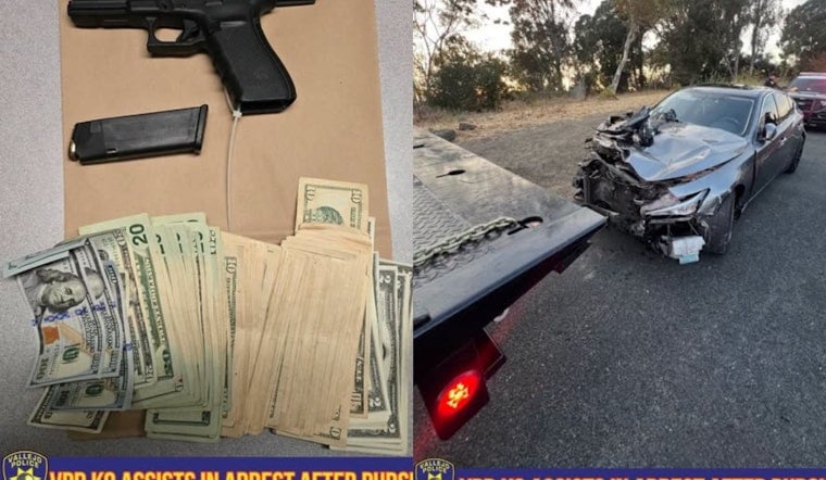 Vallejo Traffic Stop Sparks 15-Mile I-80 Chase, Attempted Carjacking, K9 Capture