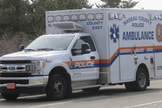 Valley Stream Woman, 75, Hospitalized After Two Dogs Attack Her at Home