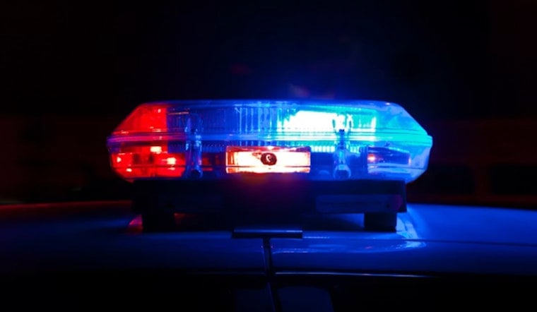 Vancouver K-9 Midas Leaps Through Car Window to End 40-Minute Standoff