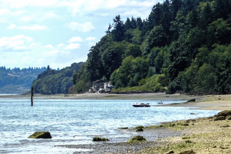 Vashon Island Woman, 51, Swims 32 Miles Around Her Own Home, No Wetsuit