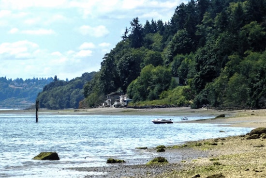 Vashon Island Woman, 51, Swims 32 Miles Around Her Own Home, No Wetsuit