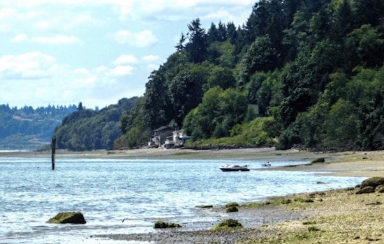 Vashon Island Woman, 51, Swims 32 Miles Around Her Own Home, No Wetsuit
