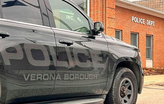 Verona Man, 64, Denied Bail After Knife Threat and $2,000 Necklace Theft