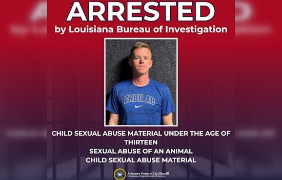 Violet Man, 35, Hit With 226 Charges After Cyber Tip Exposes Cloud Files