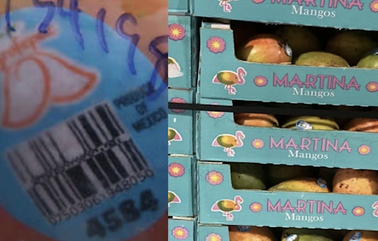 Walmart Recalls Tri-State Mangoes After Salmonella Turns Up on Same Mexican Farm