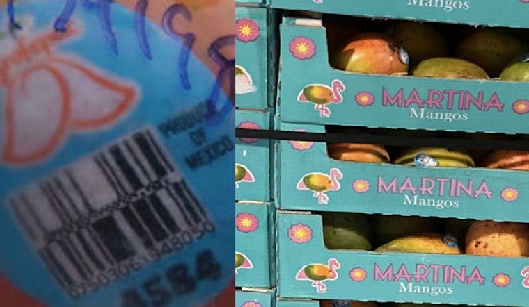 Walmart Recalls Tri-State Mangoes After Salmonella Turns Up on Same Mexican Farm