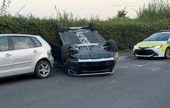 Warren Woman Airlifted After Car Runs Red Light, Hits Tree Near Annandale Music Shop