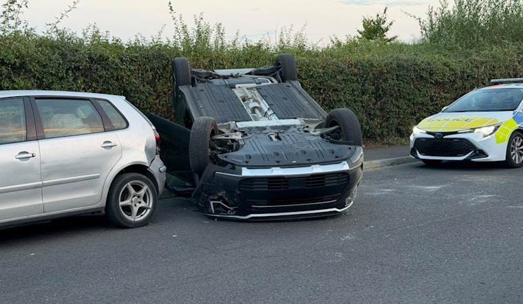 Warren Woman Airlifted After Car Runs Red Light, Hits Tree Near Annandale Music Shop