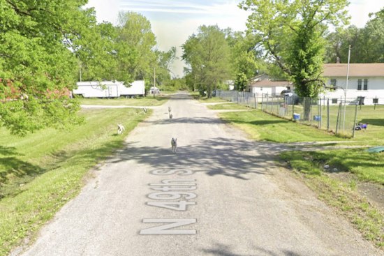 Washington Park Man, 68, Mauled to Death as Neighbors Say They Warned for Years