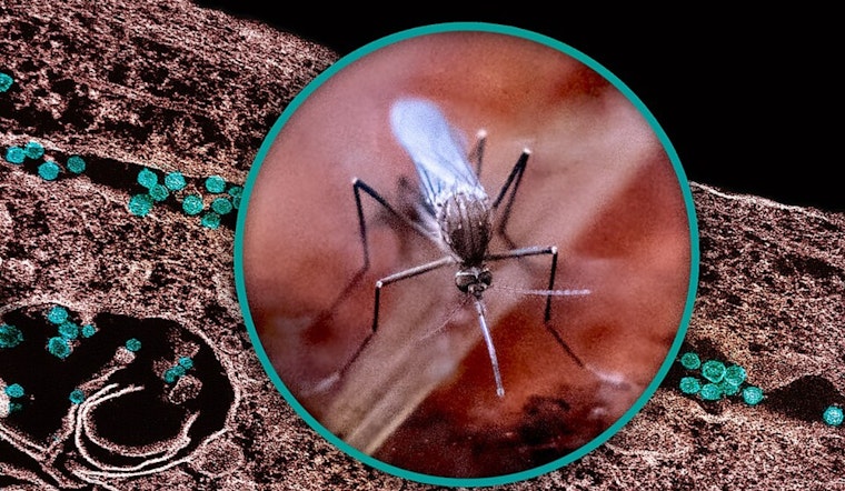 Wayne County Reports First Human West Nile Case, Suburban Resident Infected