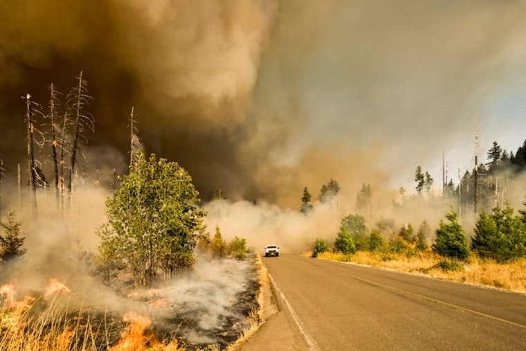 Wentworth Fire Sparks Along El Dorado County's Georgetown Divide, Cause Still Unknown