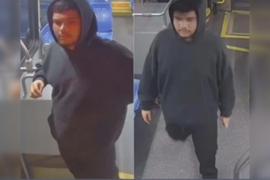 West Lawn Gunman Still at Large 5 Months After Shooting Teen in the Leg