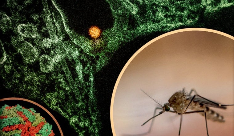 West Nile Killer Bugs Claim 2 Central Valley Lives in California’s First 2026 Deaths