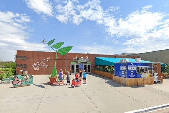 Westminster's Butterfly Pavilion Preps 1,200-Gallon Tank For Its First Octopus