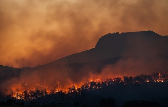 Wildfire Breaks Out on Pine Tree Road in Pinyon Hills Before Dawn