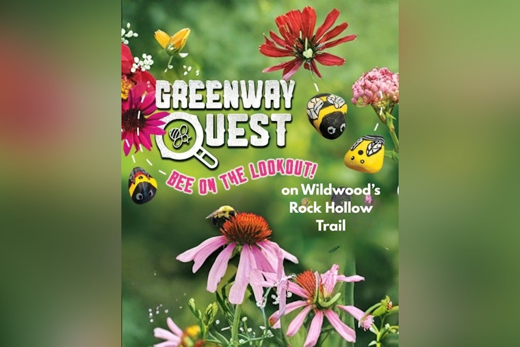 Wildwood Trail Hides 300 Painted Bee Rocks, Two Are Ultra-Rare Finds