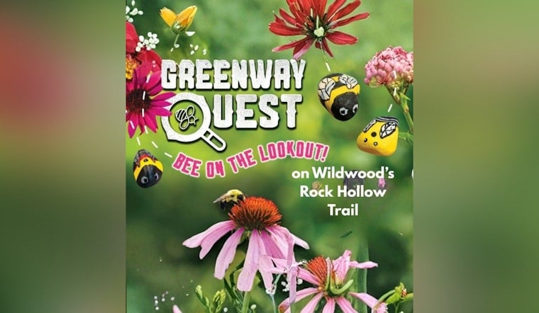 Wildwood Trail Hides 300 Painted Bee Rocks, Two Are Ultra-Rare Finds