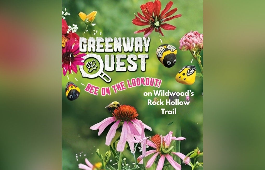 Wildwood Trail Hides 300 Painted Bee Rocks, Two Are Ultra-Rare Finds