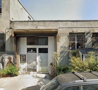 Williamsburg Gallery Fetes NYC's Pigeons With 26 Artists, Live Feeding