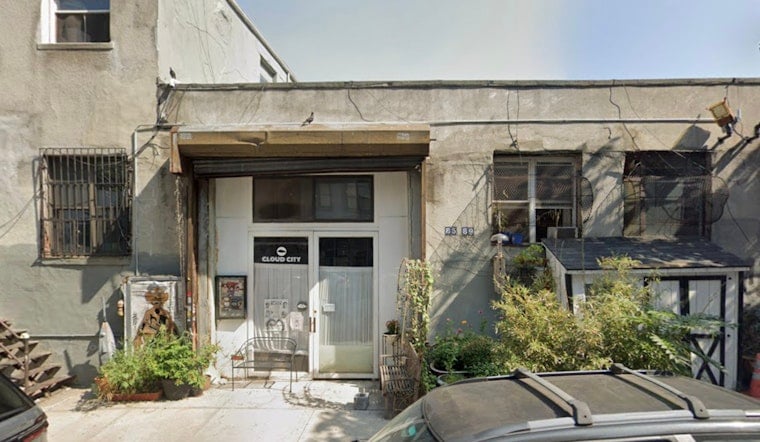 Williamsburg Gallery Fetes NYC's Pigeons With 26 Artists, Live Feeding