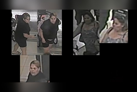 Willowbrook Mall Line-Cutting Spat Turns Into Wallet Robbery, HPD Offers $5K