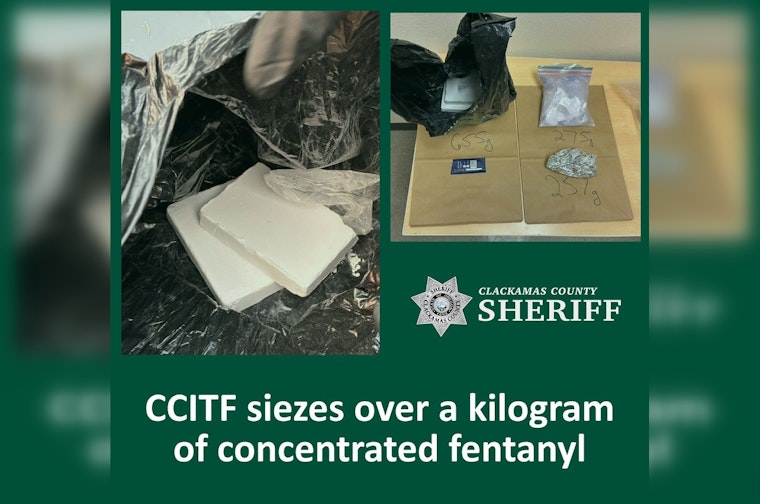Wilsonville-Area Traffic Stop Nets Kilogram of Fentanyl Bricks, Task Force Says