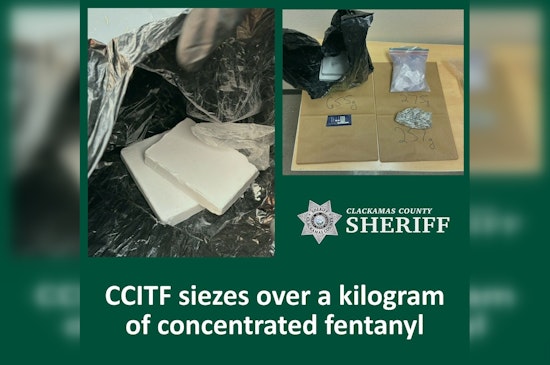 Wilsonville-Area Traffic Stop Nets Kilogram of Fentanyl Bricks, Task Force Says
