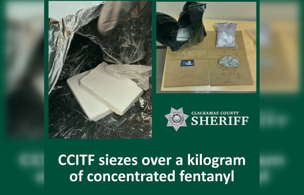 Wilsonville-Area Traffic Stop Nets Kilogram of Fentanyl Bricks, Task Force Says