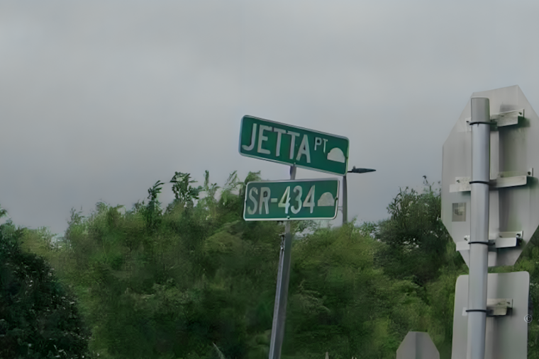 Winter Springs Neighbors Fear Flooding If Jetta Point's 46 Wooded Acres Get Sold