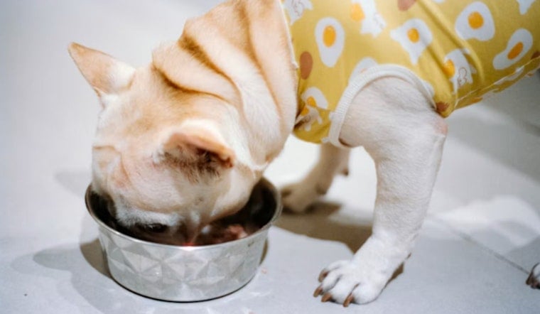 Wisconsin Dog Food Maker Recalls 5,825 Cases Over Metal Fragments in Cans
