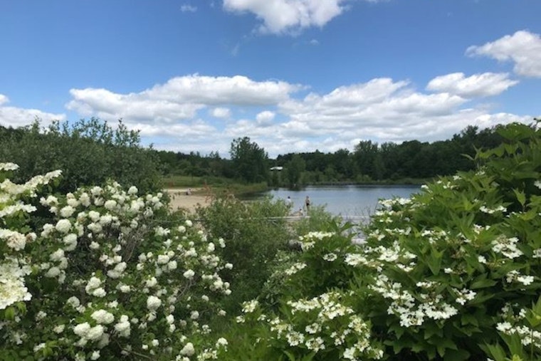 Woman Airlifted After CPR at Acton's NARA Park Pond, Days After Lifeguards Left