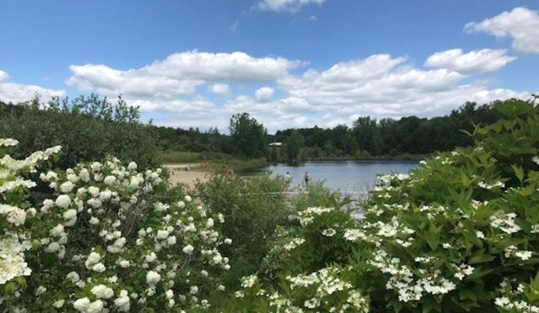 Woman Airlifted After CPR at Acton's NARA Park Pond, Days After Lifeguards Left