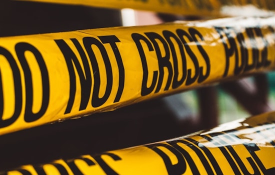Woman Shot Dead on Hasbrook Avenue, Suspect Held Without Incident