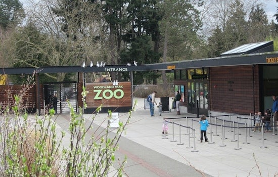 Woodland Park Zoo's WildLanterns Returns With Bigger Lanterns, Early Discounts