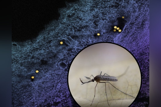 Woodland Resident Hospitalized as Yolo County Logs First West Nile Case of 2026