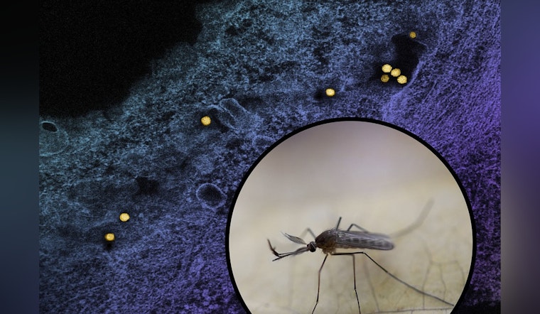 Woodland Resident Hospitalized as Yolo County Logs First West Nile Case of 2026