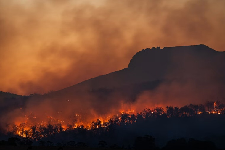 Woods Fire Erupts in Alpine County, Draws Top-Tier Federal Response