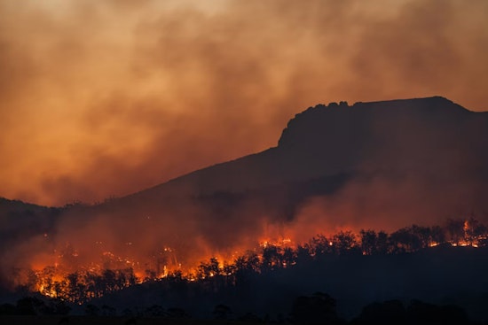 Woods Fire Erupts in Alpine County, Draws Top-Tier Federal Response