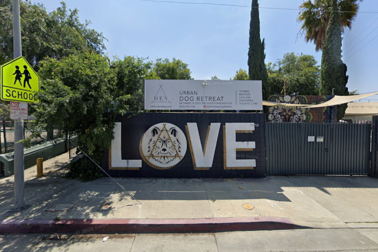Woofstock Returns To Cypress Park As LA Shelters Face Kitten Euthanasia Surge