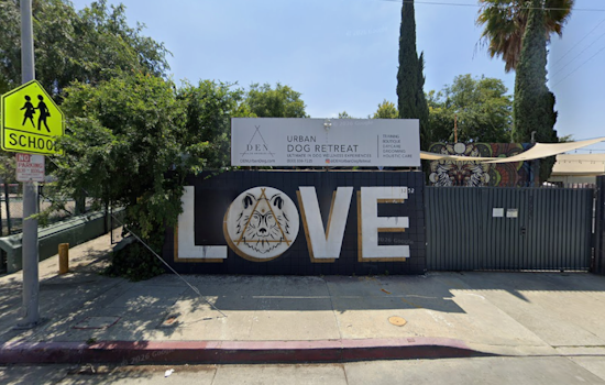Woofstock Returns To Cypress Park As LA Shelters Face Kitten Euthanasia Surge