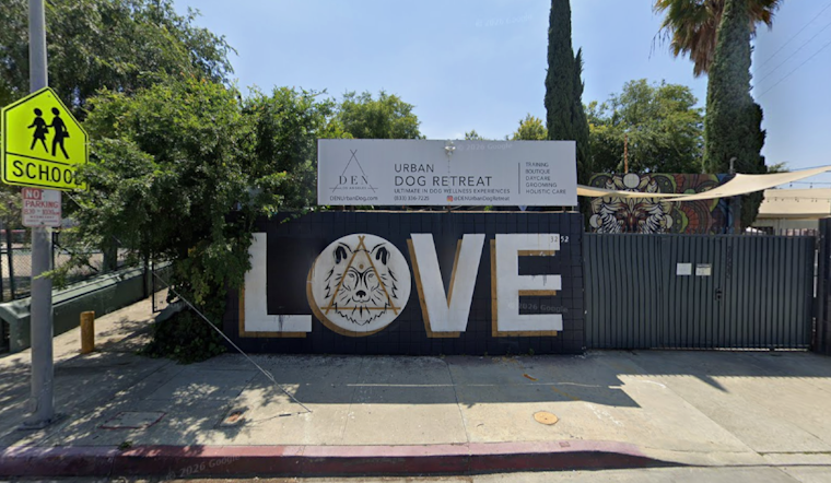 Woofstock Returns To Cypress Park As LA Shelters Face Kitten Euthanasia Surge