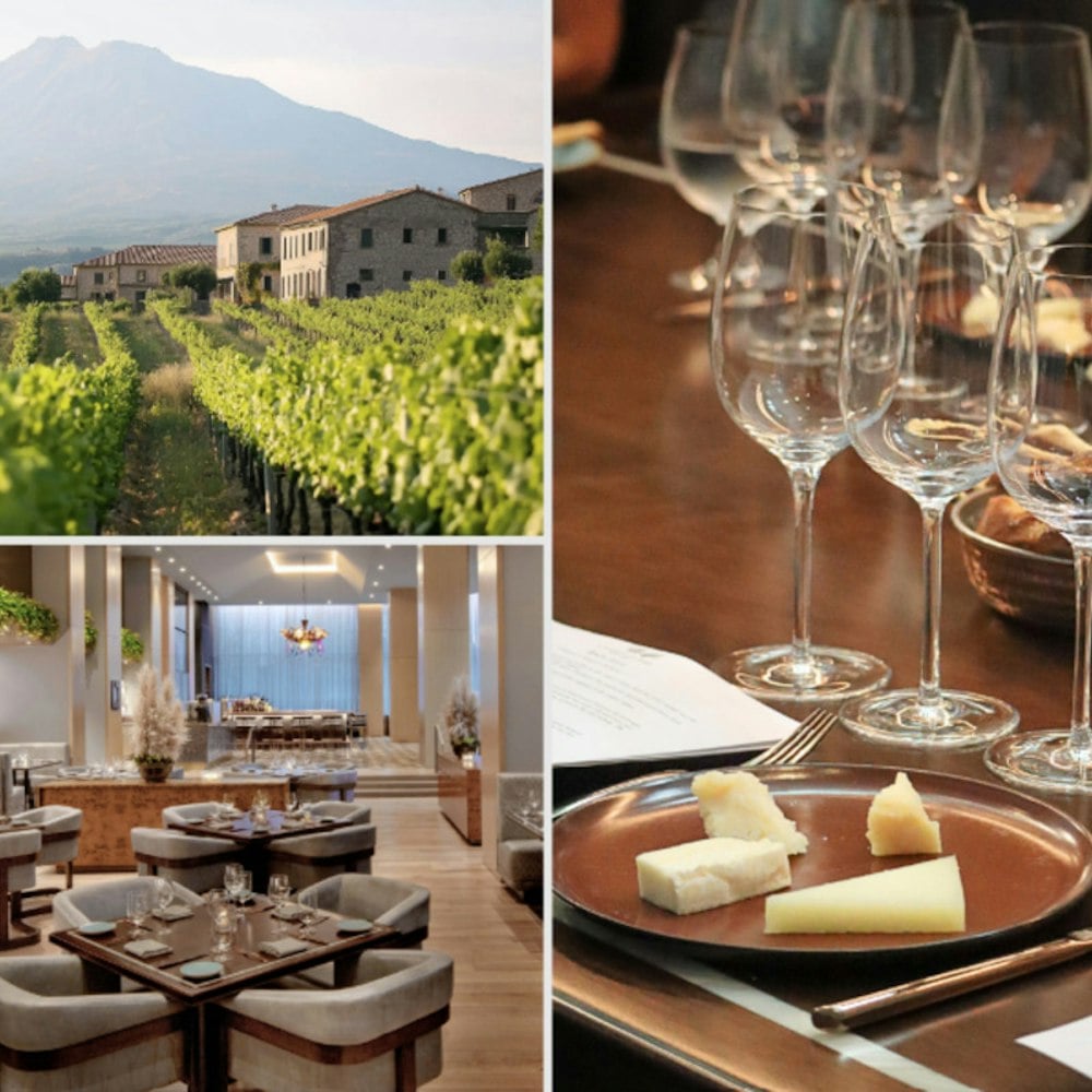 Yolan's Sicily Wine Tasting Returns to Nashville With Etna's Volcanic Reds