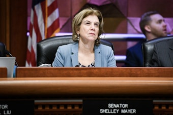 Yonkers Sen. Shelley Mayer to Lead NY Senate Dems’ Supermajority Power Push