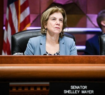 Yonkers Sen. Shelley Mayer to Lead NY Senate Dems’ Supermajority Power Push