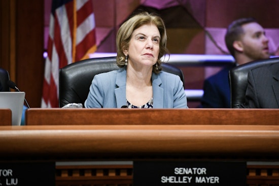 Yonkers Sen. Shelley Mayer to Lead NY Senate Dems’ Supermajority Power Push