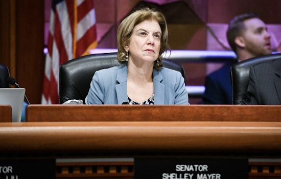 Yonkers Sen. Shelley Mayer to Lead NY Senate Dems’ Supermajority Power Push