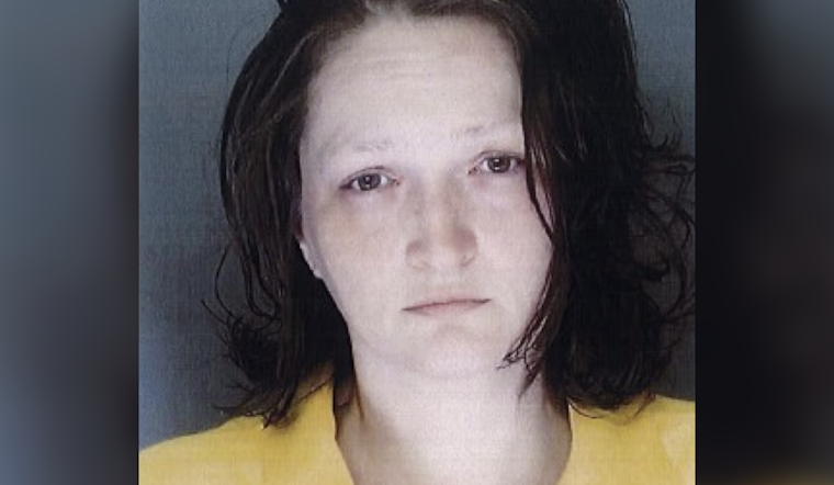 York County Woman Sentenced After Pepper Theft Turns Felony Case