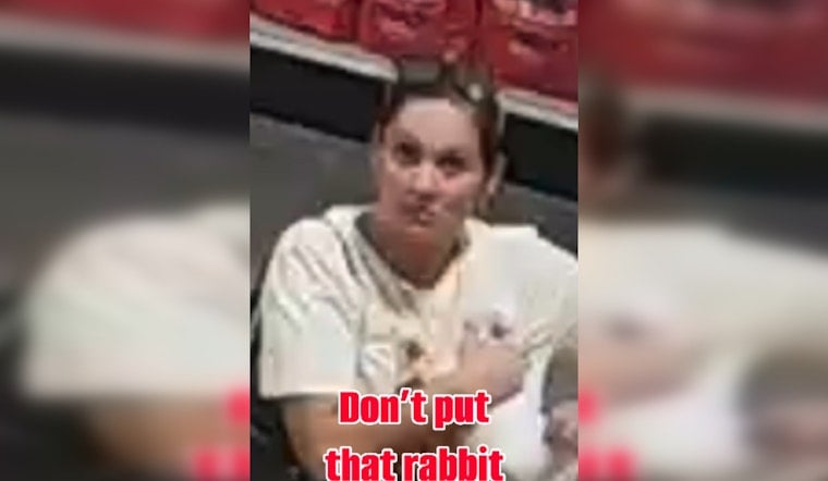 Yukon Police Hunt Woman Who Tucked Store's Beloved Bunny Into Her Purse