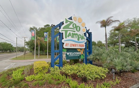 ZooTampa Painting With Elephants Returns For August And September