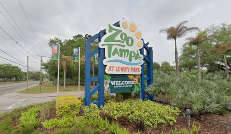 ZooTampa Painting With Elephants Returns For August And September
